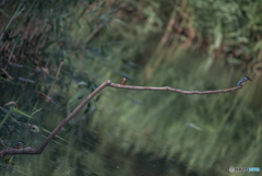 それぞれの立ち位置