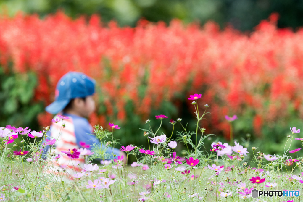 花に囲まれて