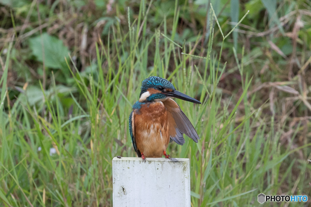 ちっと冷てぇな