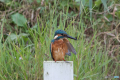 ちっと冷てぇな
