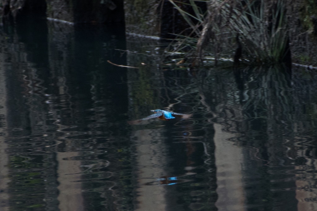 気が付けば丸一年