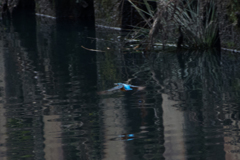 気が付けば丸一年
