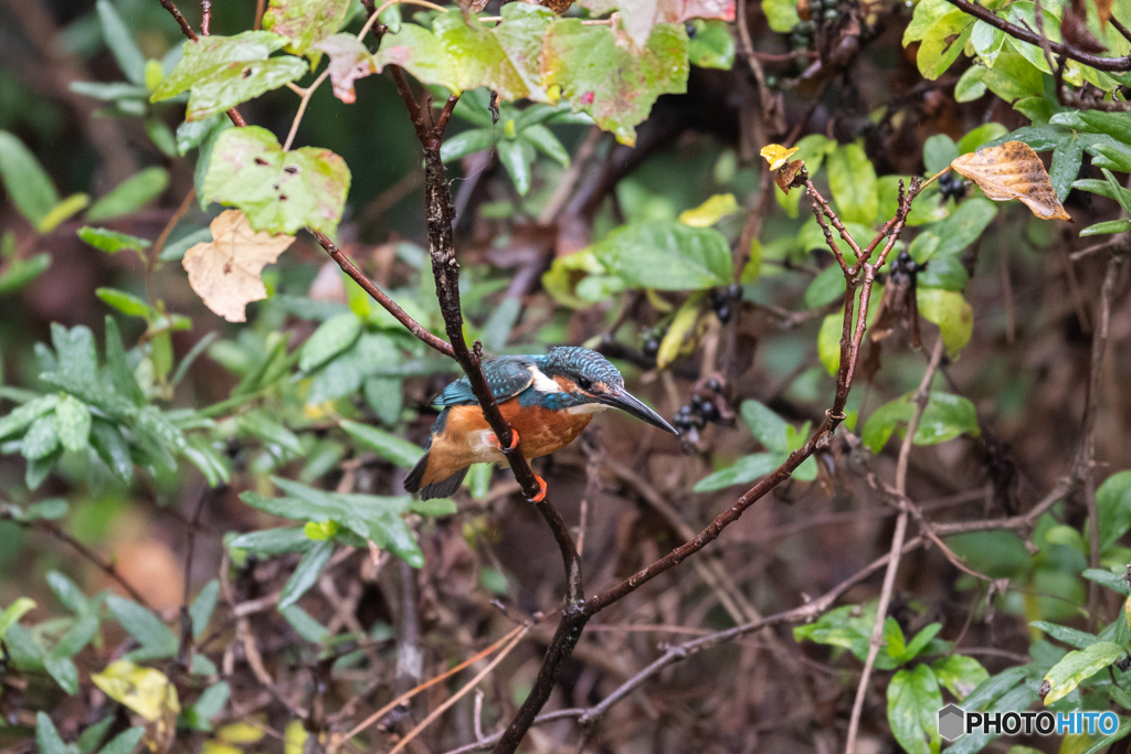 やる気に満ちて