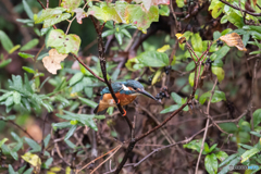 やる気に満ちて