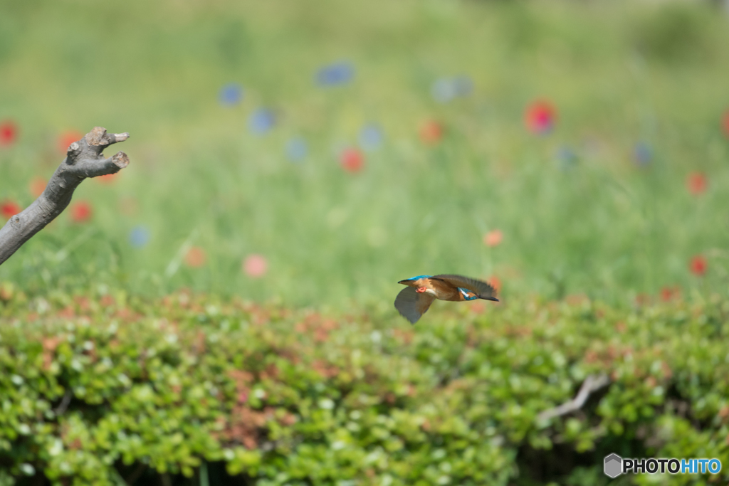 漁にならず、お帰りです