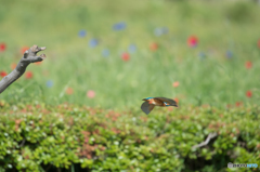 漁にならず、お帰りです