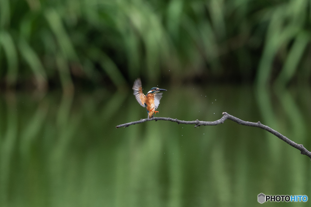 エアーブレーキ