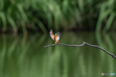 エアーブレーキ