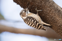 接近遭遇 接近遭遇