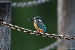 チェーン　ブルー