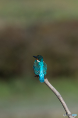 綺麗なブルー♡