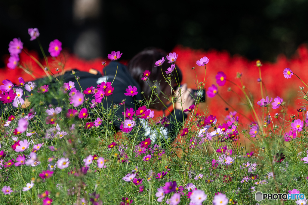 綺麗に撮れたかな？