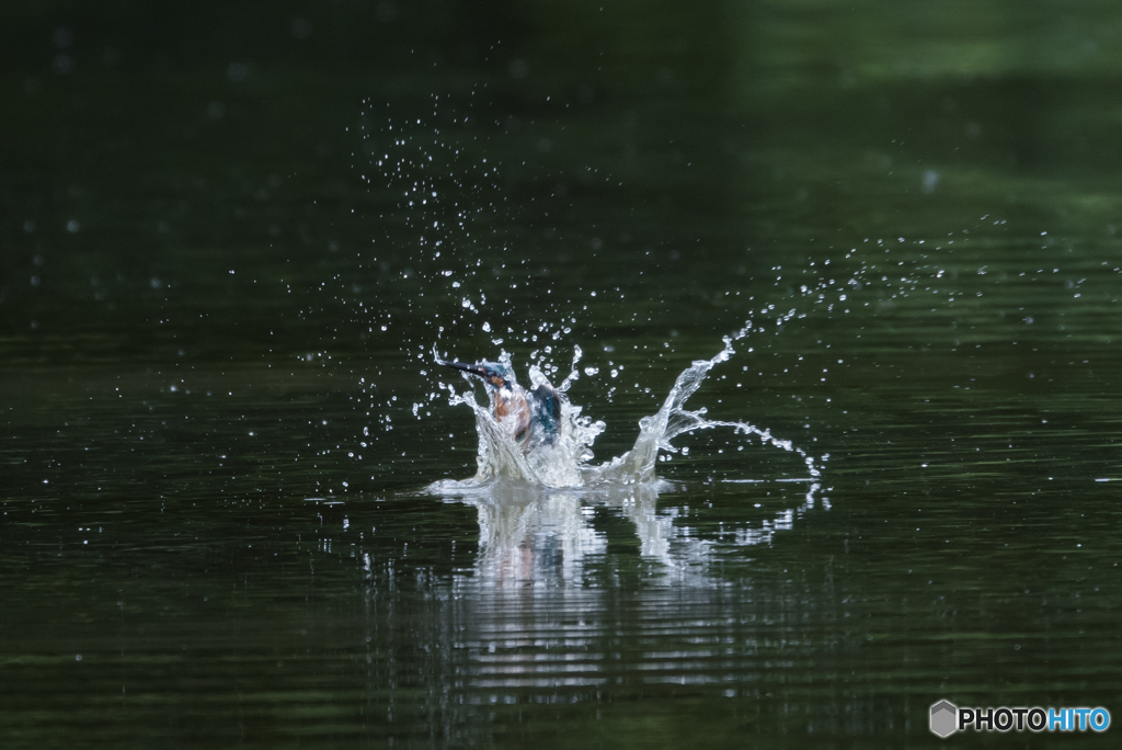 水の王冠からの