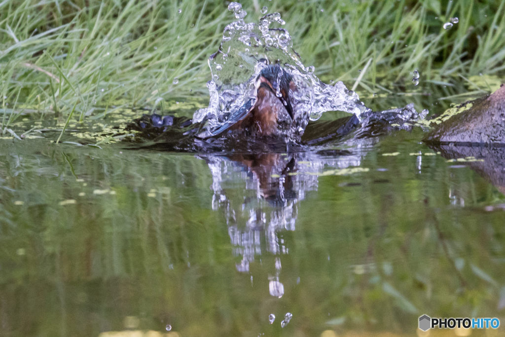 水ベールを纏い