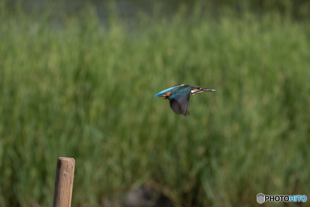 どん　と飛び出し