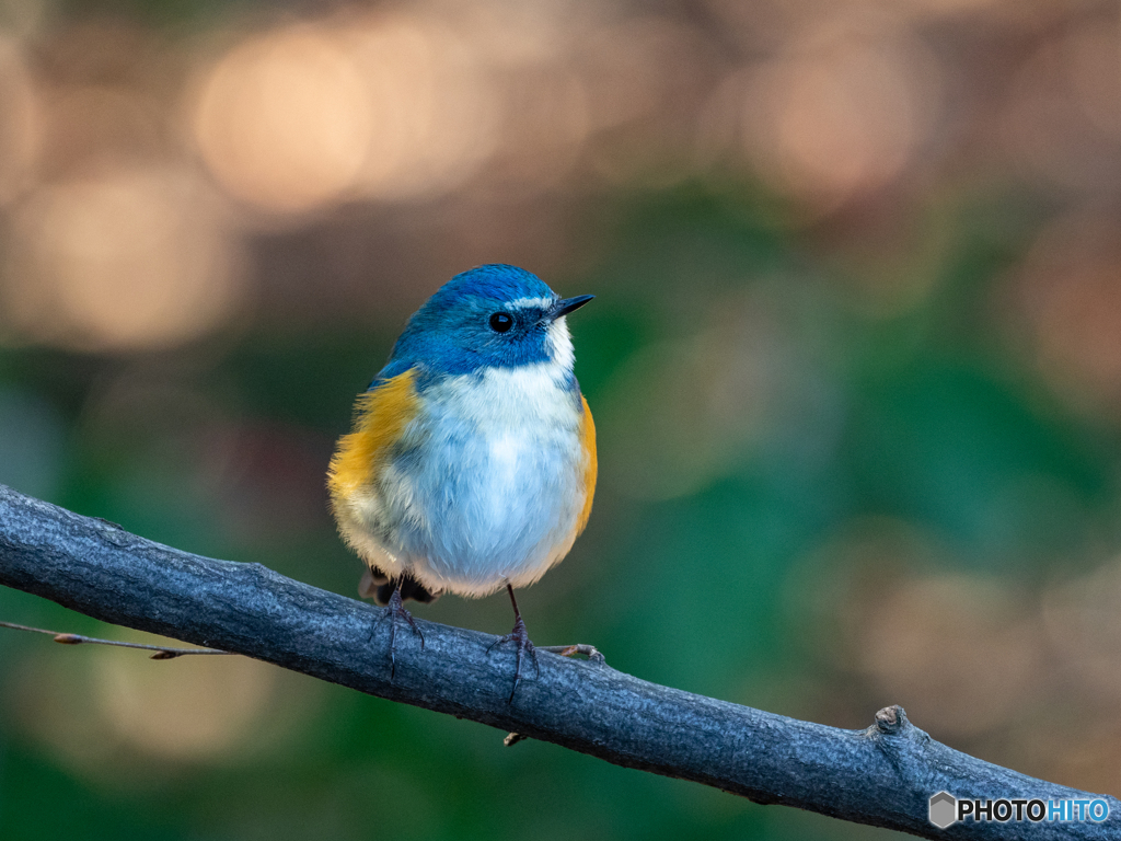 お久しぶり(^^♪