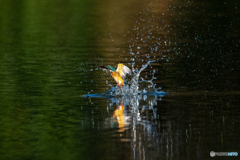 スポットライトを浴びて