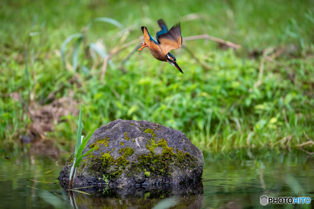 一旦飛び上がってからの