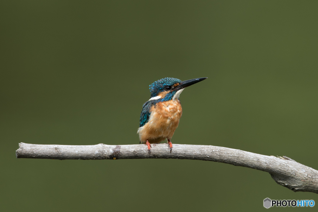 ご機嫌ななめ？