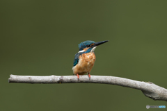 ご機嫌ななめ？