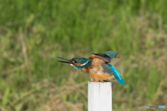 肩のストレッチ