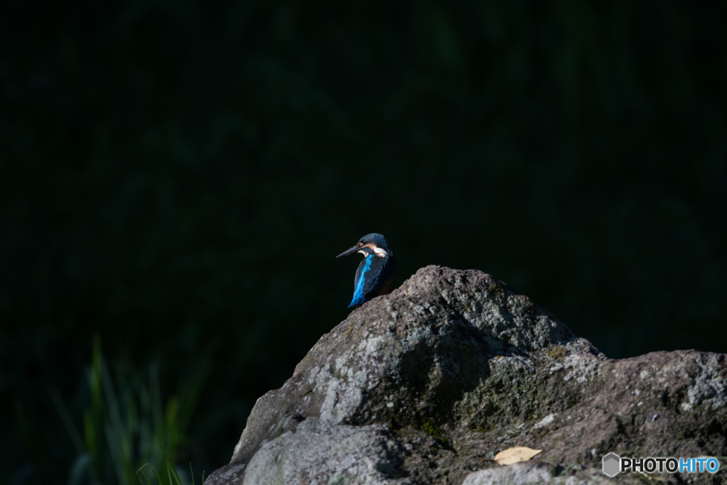 印象に残るブルー