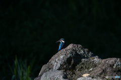 印象に残るブルー