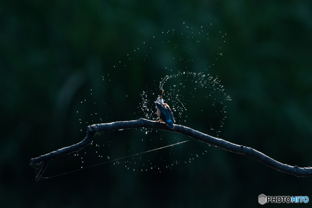 芸術は爆発だー！