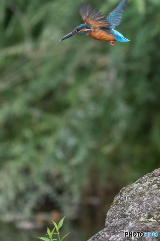 ジャンプアップ