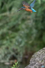 ジャンプアップ