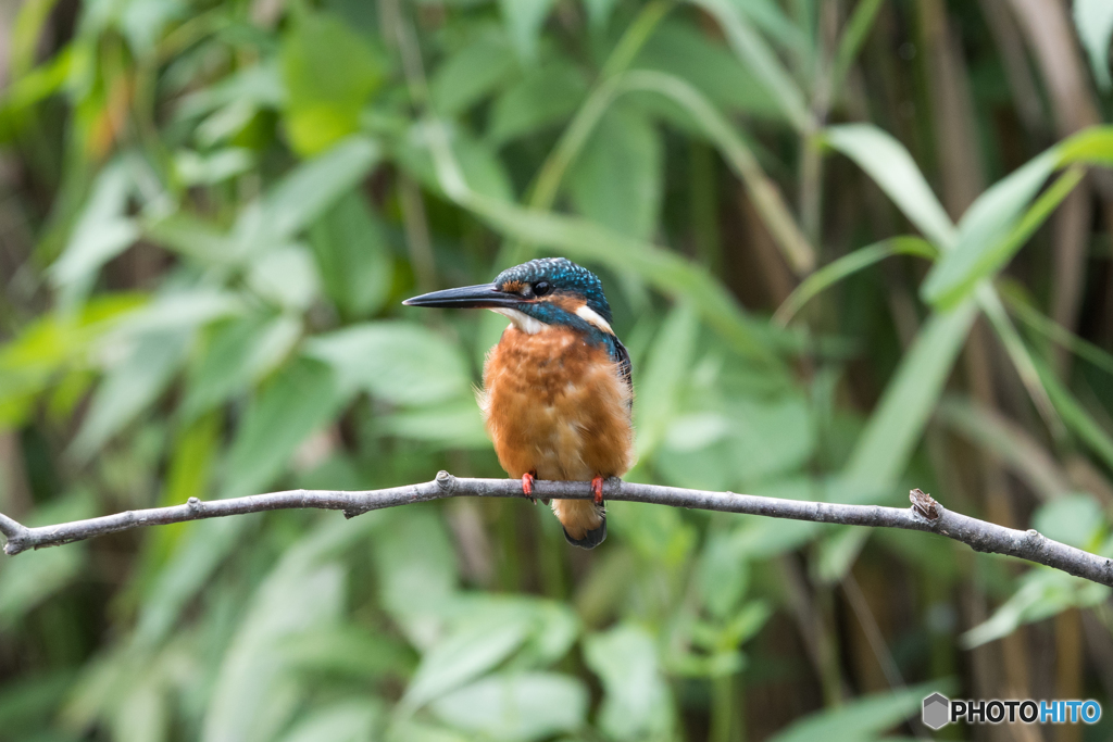 久し振りのオレンジ♡