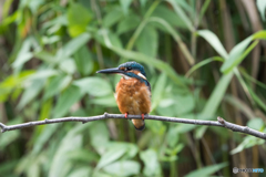 久し振りのオレンジ♡