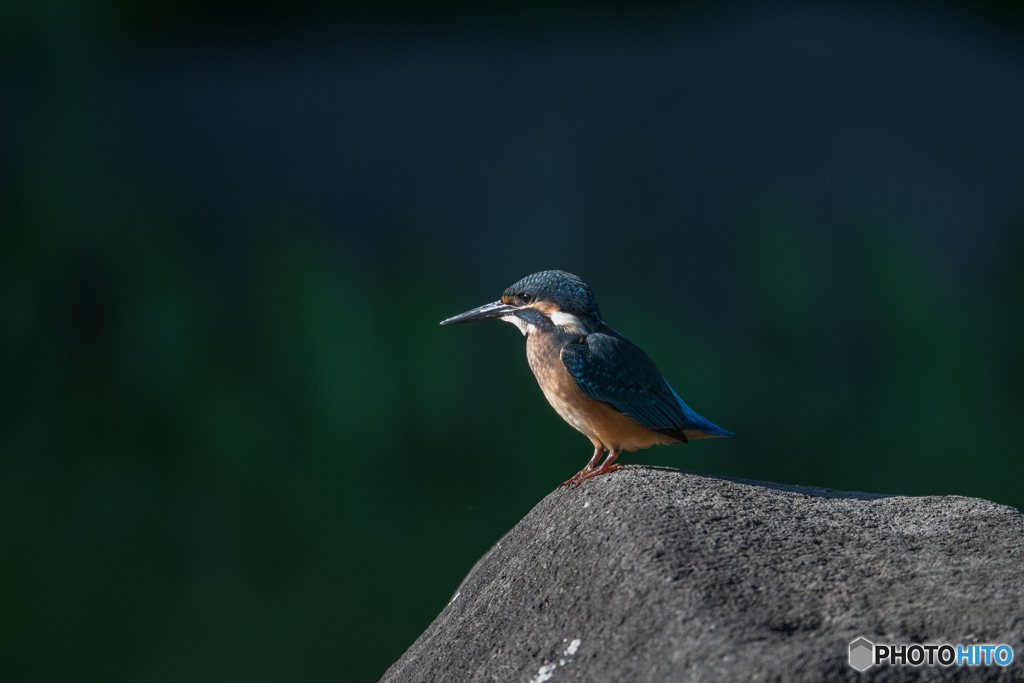 ハンサムボーイ♡