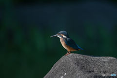 ハンサムボーイ♡