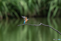 オーバラン (^-^;