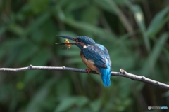 いただきまーす♡