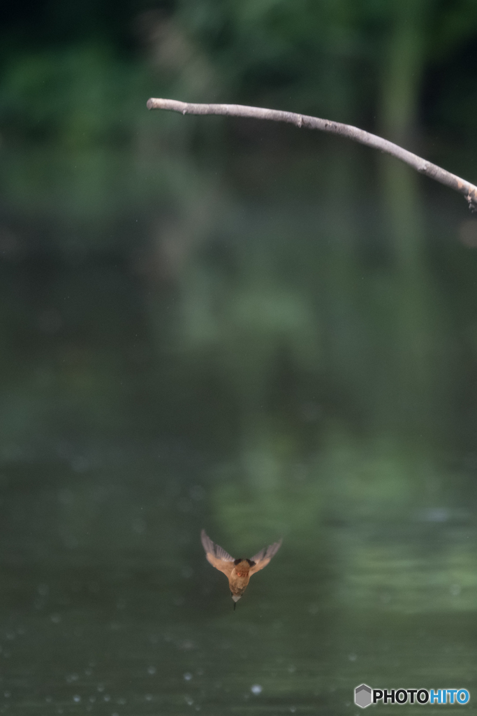 空中姿勢よしっ！