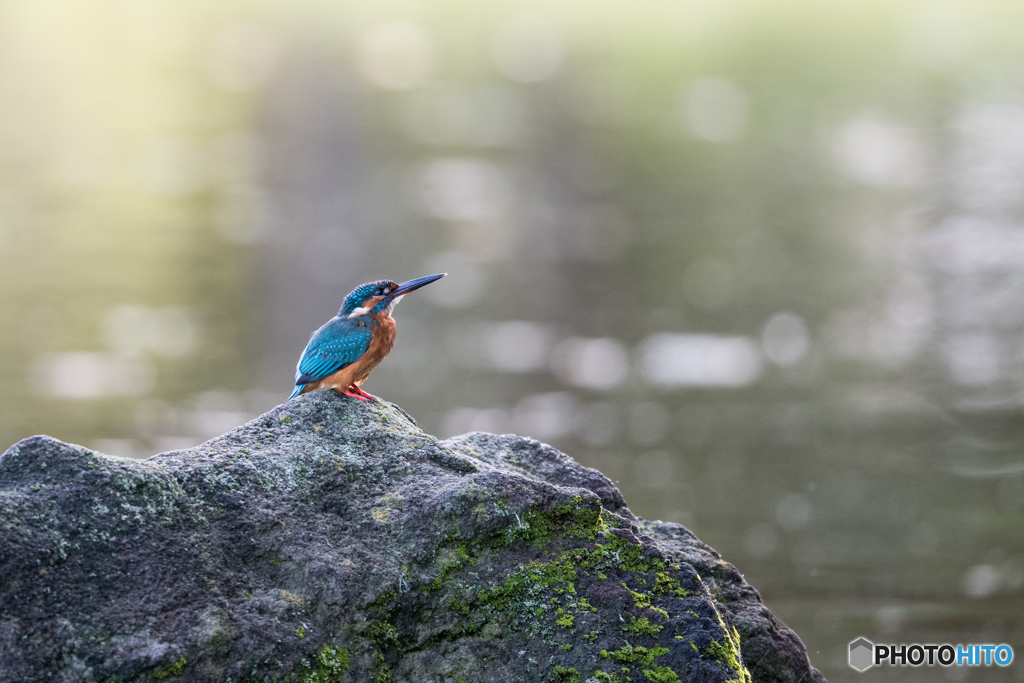 位置について、