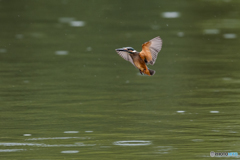 エアーブレーキ