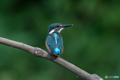 物足りない(T_T)