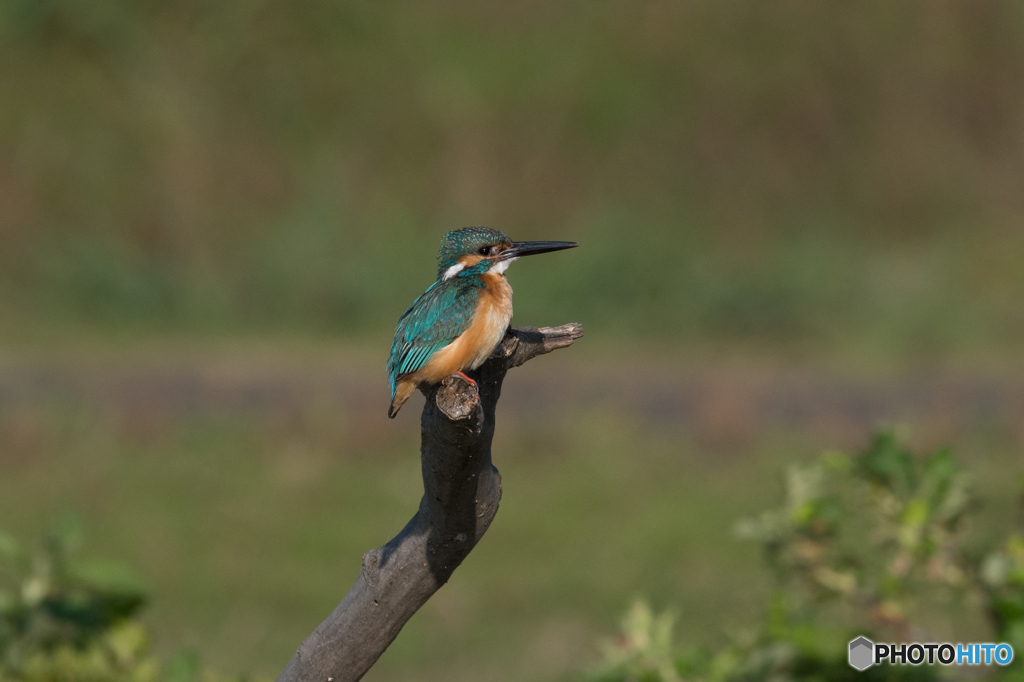 はい、ポーズ♡