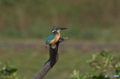 はい、ポーズ♡