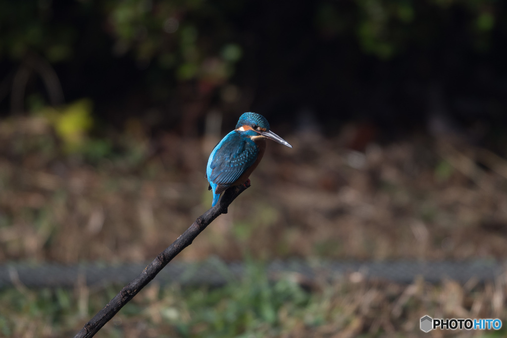 深い青にも魅せられる♡