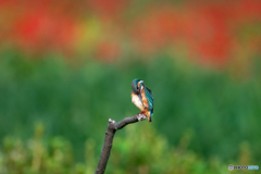 はい、ポーズ♡