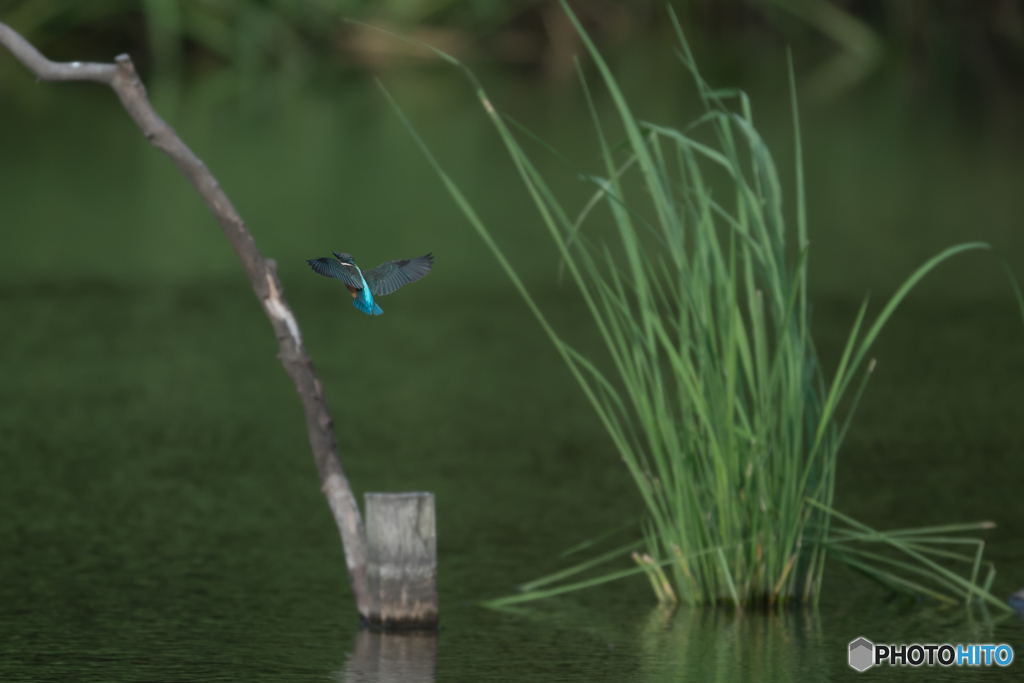 生け花のごとく