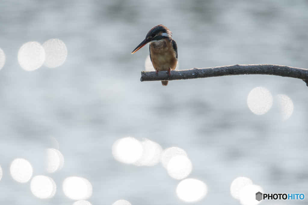 煌めきを纏って