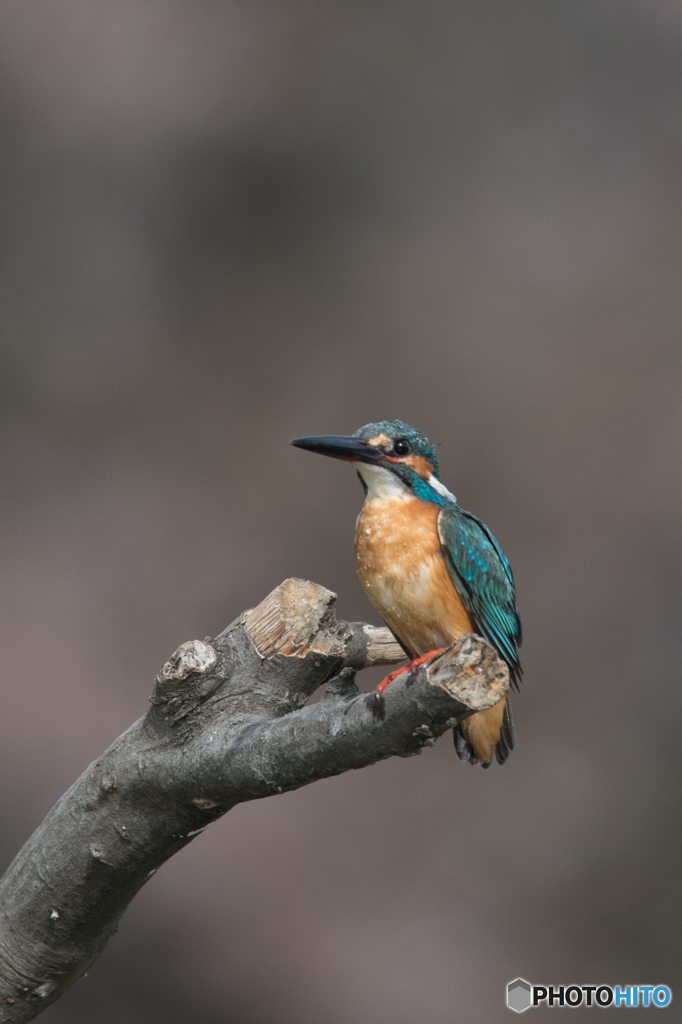 水も滴る、いい男♡