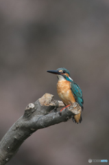 水も滴る、いい男♡