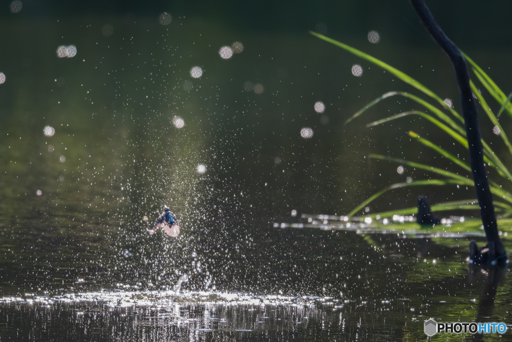 煌めきをまとって