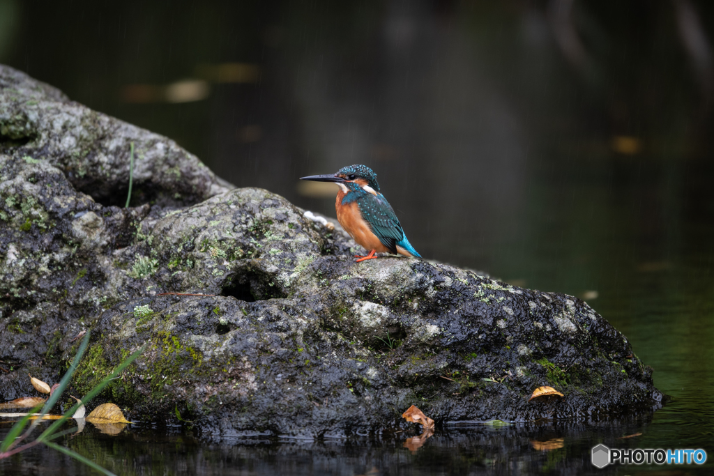 そこはかとなく秋